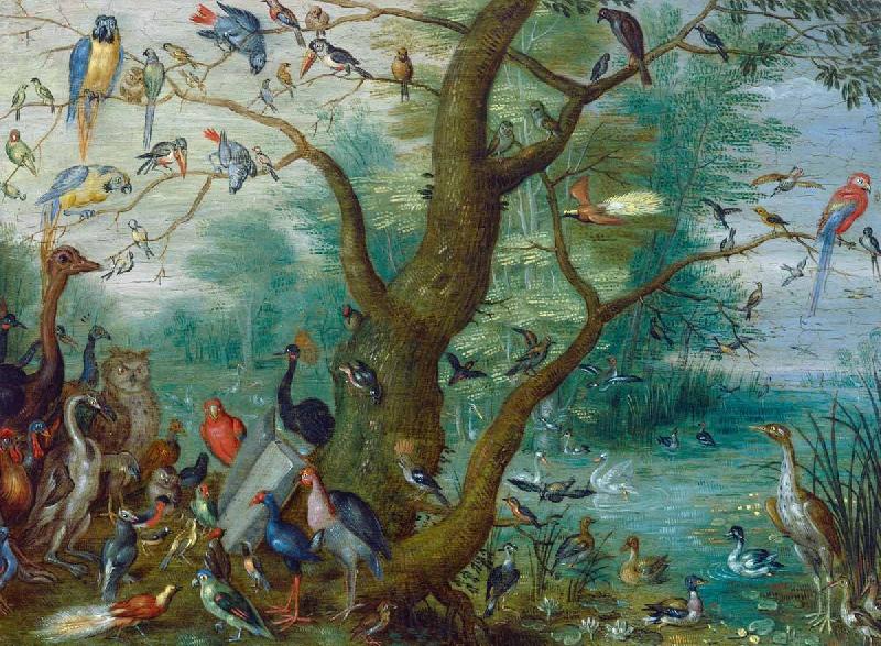 Jan Van Kessel Concert van Vogels Norge oil painting art